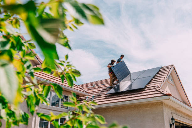 Best Roof Moss and Algae Removal  in Clifton Gardens, NY