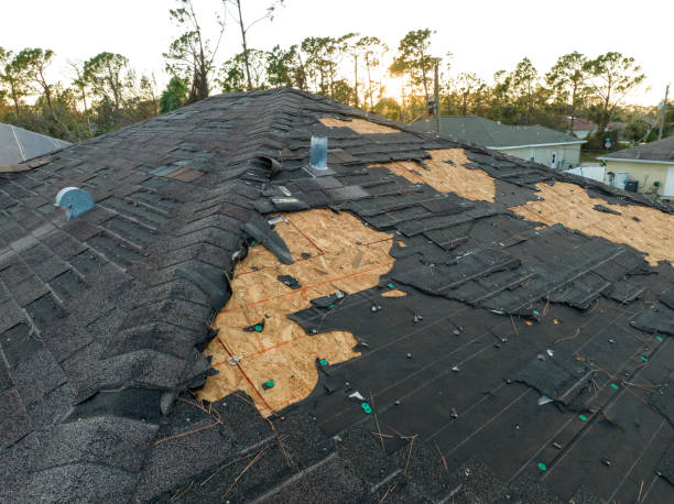 Best Roof Coating and Sealing  in Clifton Gardens, NY