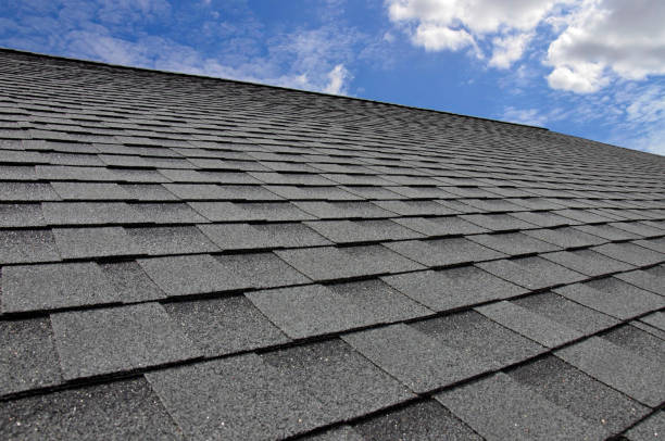 Best Roof Coating and Sealing  in Clifton Gardens, NY