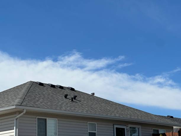 Best Rubber Roofing (EPDM, TPO)  in Clifton Gardens, NY